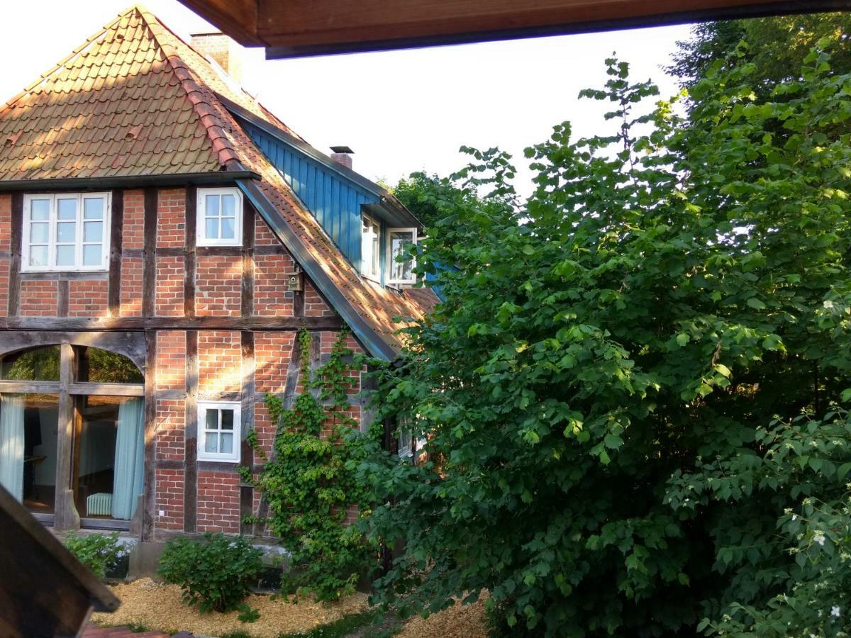 Fewo Haus Patze Betzendorf Ngoại thất bức ảnh
